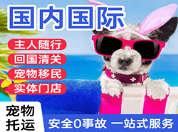 南通机场物流国际宠物托运 【国